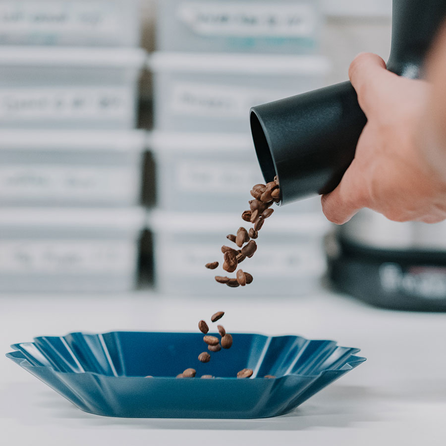 Rhino Coffee Gear Bean Scoop BESTbrew